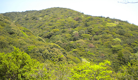 伊勢志摩国立公園