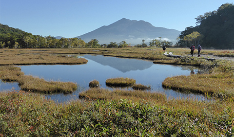 Ozenuma